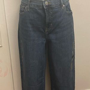 Banana Republic High-Rinse Straight Fit Jeans